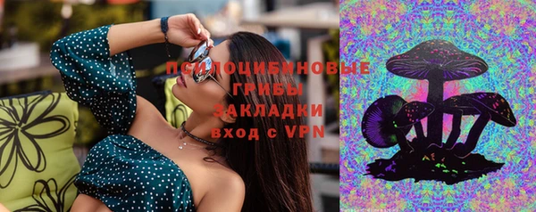 мет Арсеньев