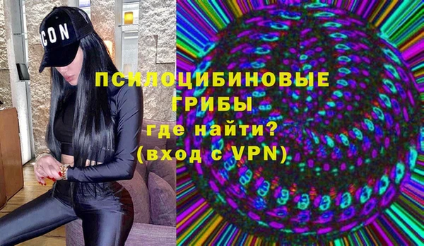 мет Арсеньев